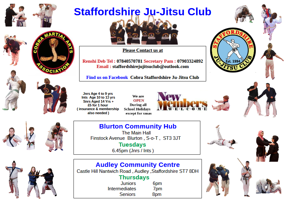 Ju Jitsu